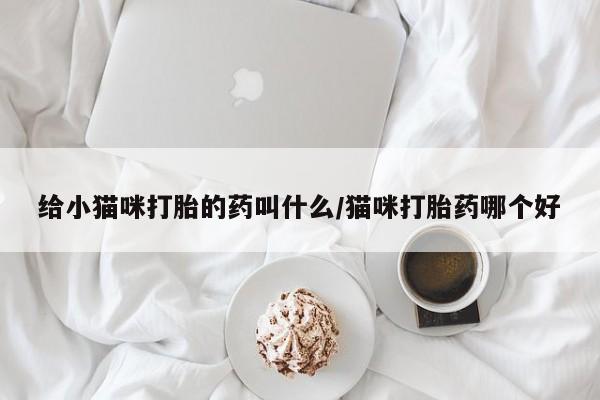 打胎药网上购买给小猫咪打胎的药叫什么/猫咪打胎药哪个好
