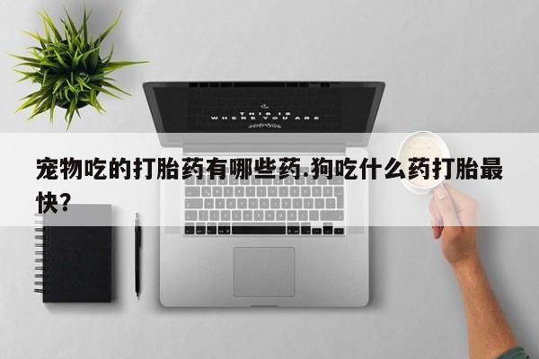打胎药网上购买宠物吃的打胎药有哪些药.狗吃什么药打胎最快？