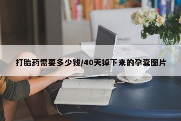 打胎药网上购买打胎药需要多少钱/40天掉下来的孕囊图片